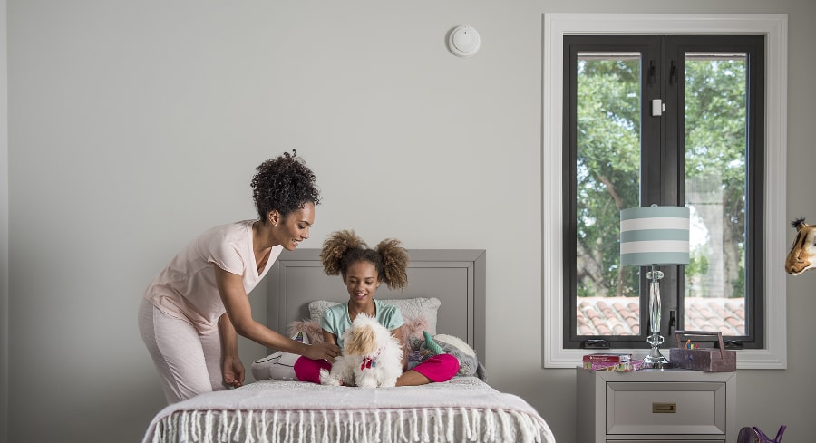 smoke & carbon detector