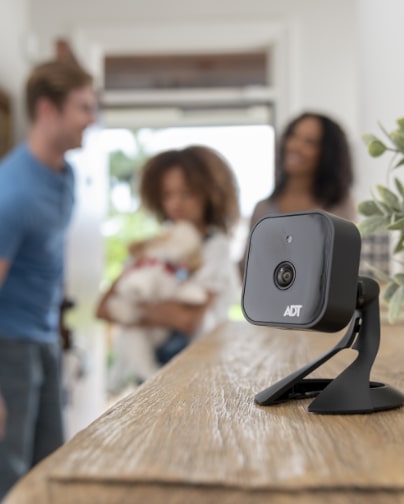 video security pricing